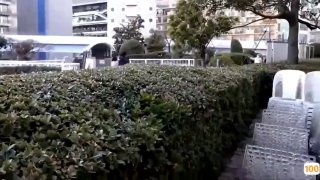 欧美情侣手机壁纸_欧美亚洲精品成人视频